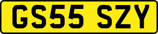 GS55SZY