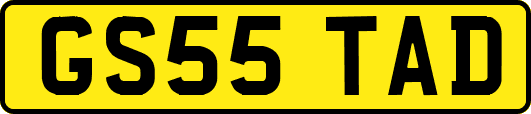 GS55TAD