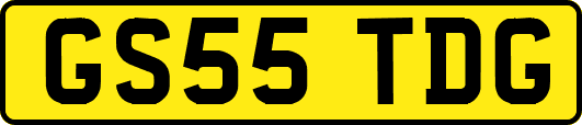 GS55TDG