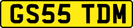GS55TDM