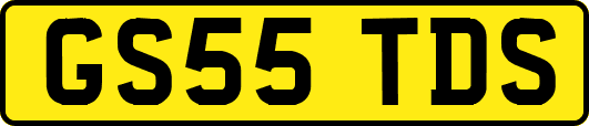 GS55TDS