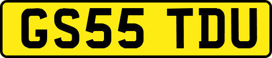 GS55TDU