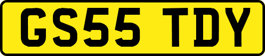 GS55TDY