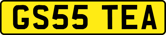 GS55TEA