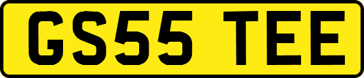 GS55TEE