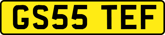 GS55TEF