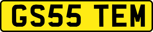 GS55TEM