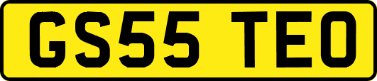 GS55TEO