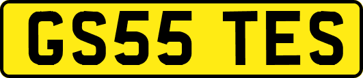 GS55TES