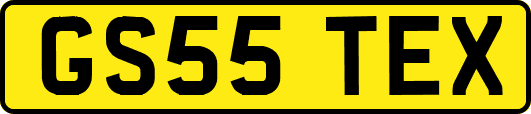 GS55TEX