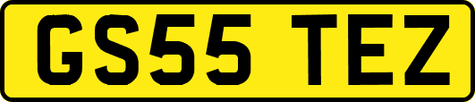 GS55TEZ