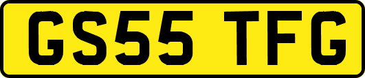 GS55TFG