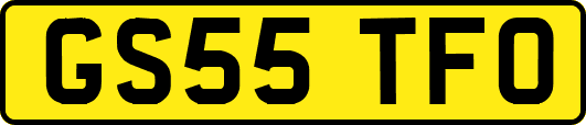 GS55TFO