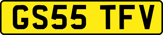 GS55TFV