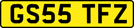 GS55TFZ