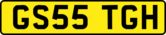 GS55TGH