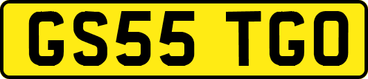 GS55TGO