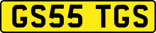 GS55TGS