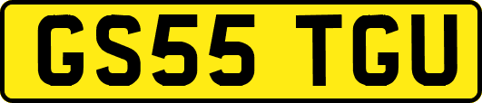 GS55TGU