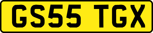 GS55TGX