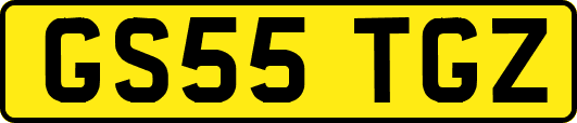 GS55TGZ