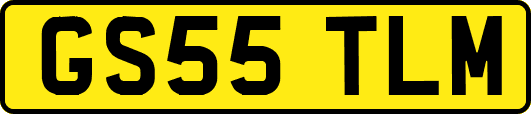 GS55TLM