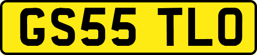GS55TLO