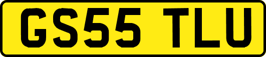 GS55TLU