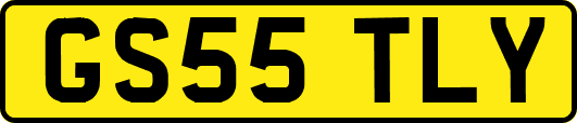 GS55TLY