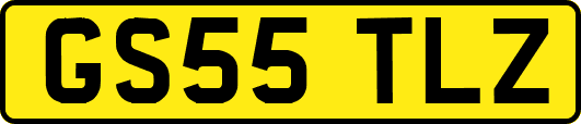 GS55TLZ