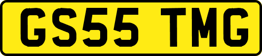 GS55TMG