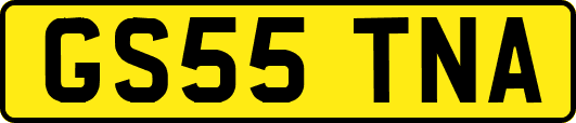 GS55TNA