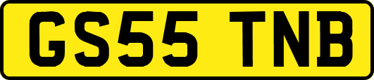GS55TNB