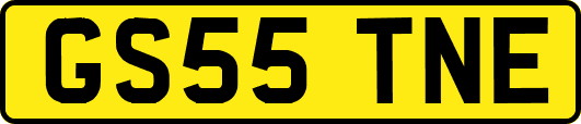 GS55TNE