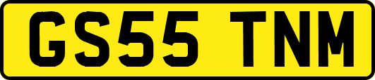 GS55TNM