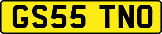 GS55TNO