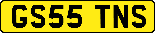 GS55TNS