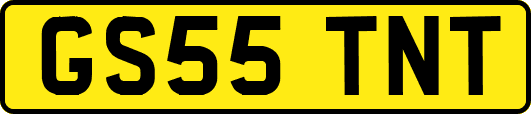 GS55TNT