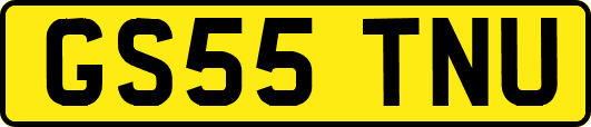 GS55TNU