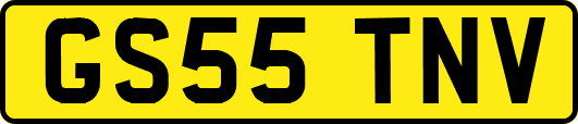 GS55TNV