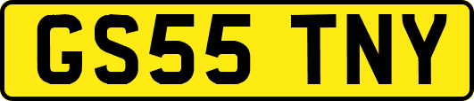 GS55TNY