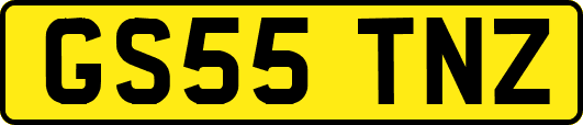 GS55TNZ