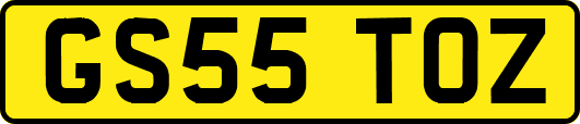 GS55TOZ