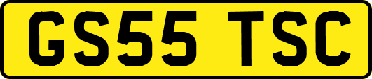 GS55TSC