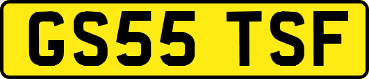 GS55TSF