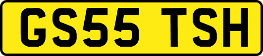 GS55TSH