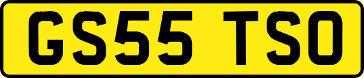 GS55TSO