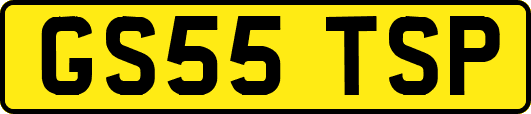 GS55TSP