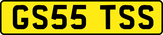 GS55TSS