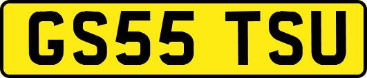 GS55TSU
